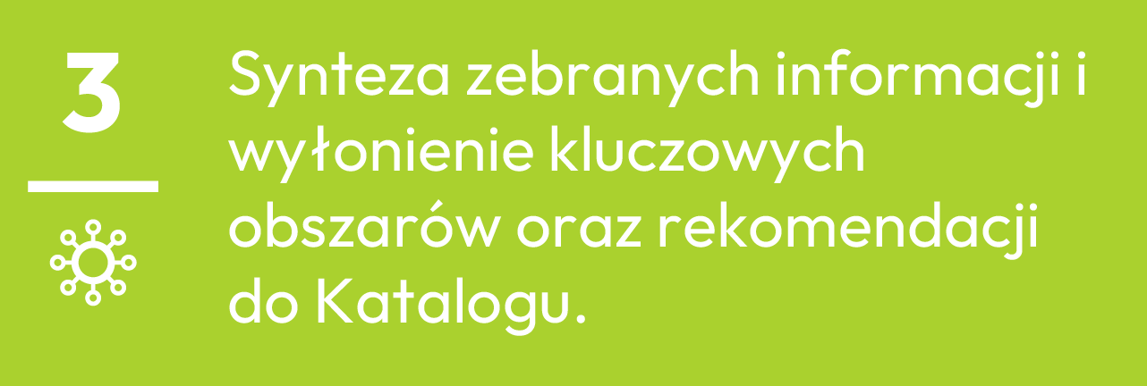 3.	Synteza zebranych informacji i wyłonienie kluczowych obszarów oraz rekomendacji do Katalogu.